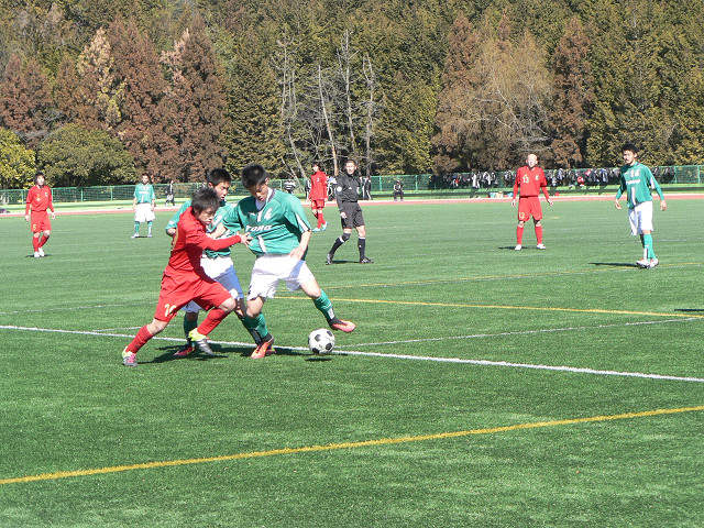 20170204A1_17.jpg